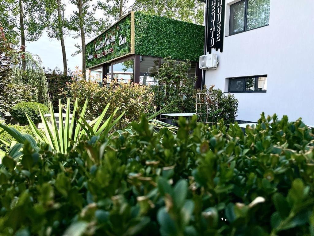 Renato House Hotell Târgu Jiu Eksteriør bilde